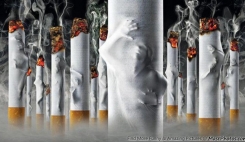 تولیدکنندگان دخانیات به ازای هر جان  6000 دلار درآمد دارند  <img src="/images/video_icon.gif" width="16" height="13" border="0" align="top">