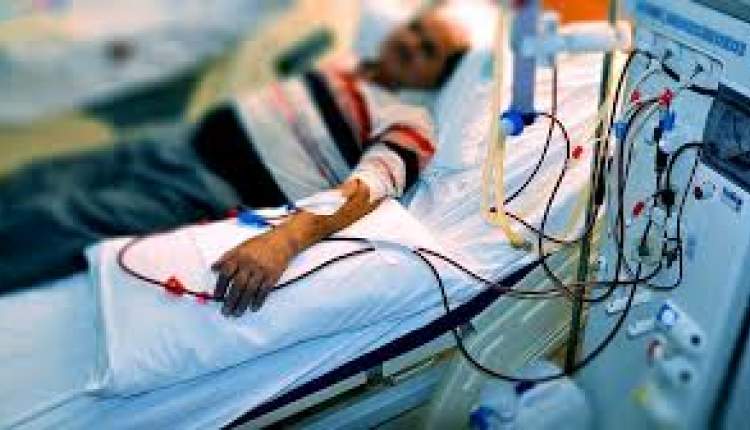 پیوند کلیه مبتلایان به هپاتیت امکان پذیر شد