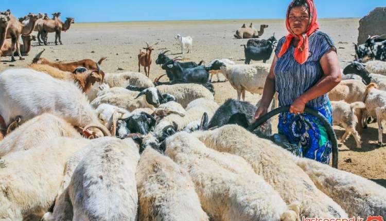 روسیه به دلیل شیوع طاعون در مغولستان مرز خود را با این کشور بست