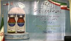 400 هزار دوز واکسن آماده داریم، باید سازمان غذا و دارو مجوز بدهد
