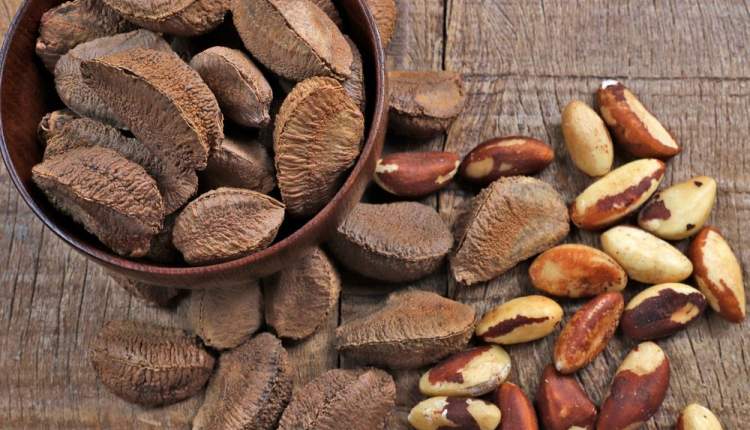 خطر مصرف زیاد آجیل برزیلی؛ افزایش ابتلا به سرطان