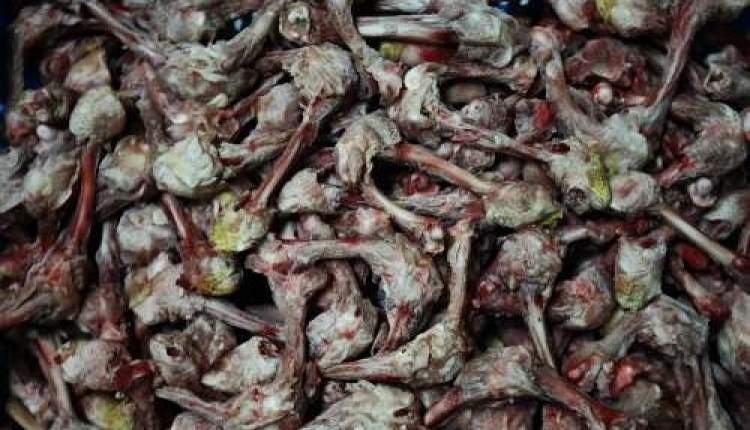 هشدار سازمان غذا و دارو درباره تولید پنهان سوسیس و کالباس هشدار سازمان غذا و دارو درباره تولید پنهان سوسیس و کالباس