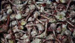 سالمخبر: سرپرست اداره امور فرآوردههای غذایی و آشامیدنی با منشأ دامی و دریایی سازمان غذا و دارو، نسبت به فعالیت کارگاههای زیرزمینی تولید فرآوردههای ...