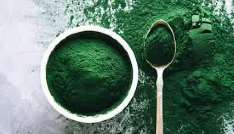 هشدار سازمان غذا و دارو درباره مصرف اسپیرولینا هشدار سازمان غذا و دارو درباره مصرف اسپیرولینا